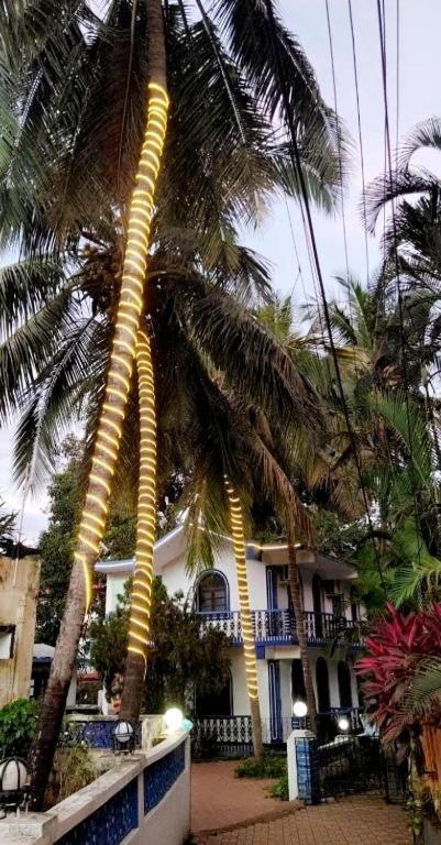 Baga Beach Palms Zewnętrze zdjęcie